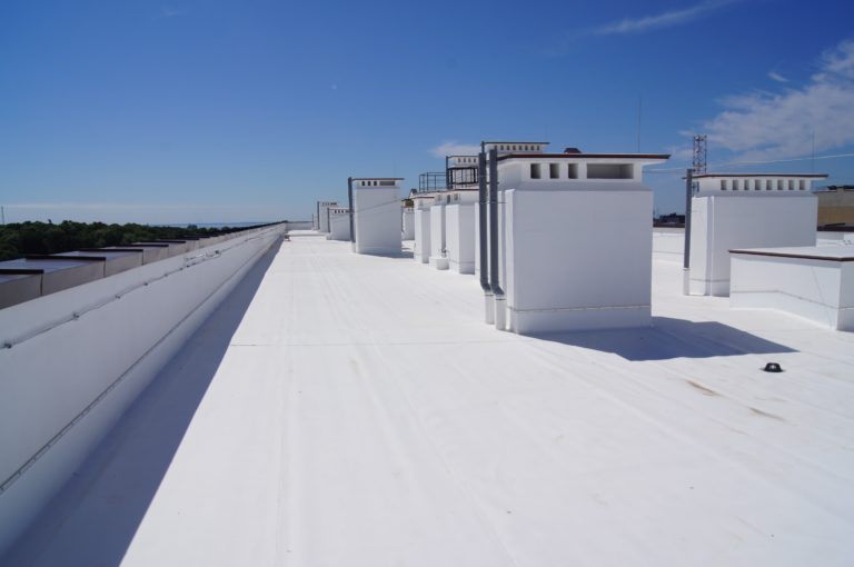 Bright white single-ply membrane roof with parapet walls and rooftop curbs under a clear summer sky